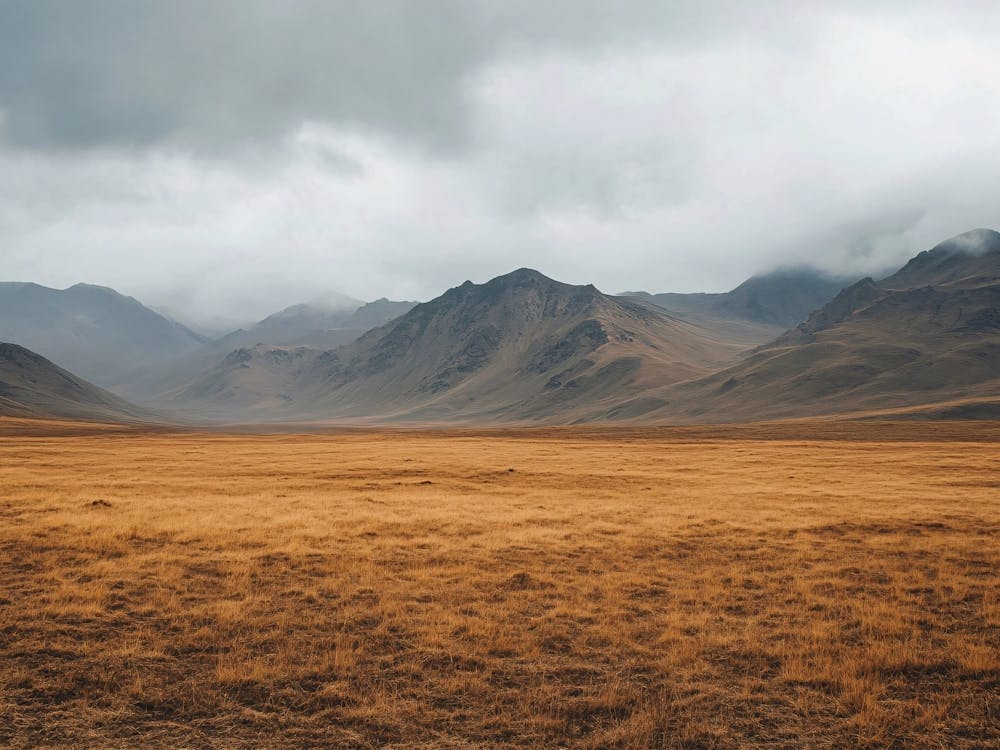 Landscape In The Mountains
