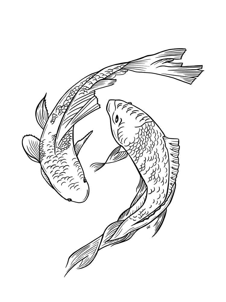 Black And White Koi Fish