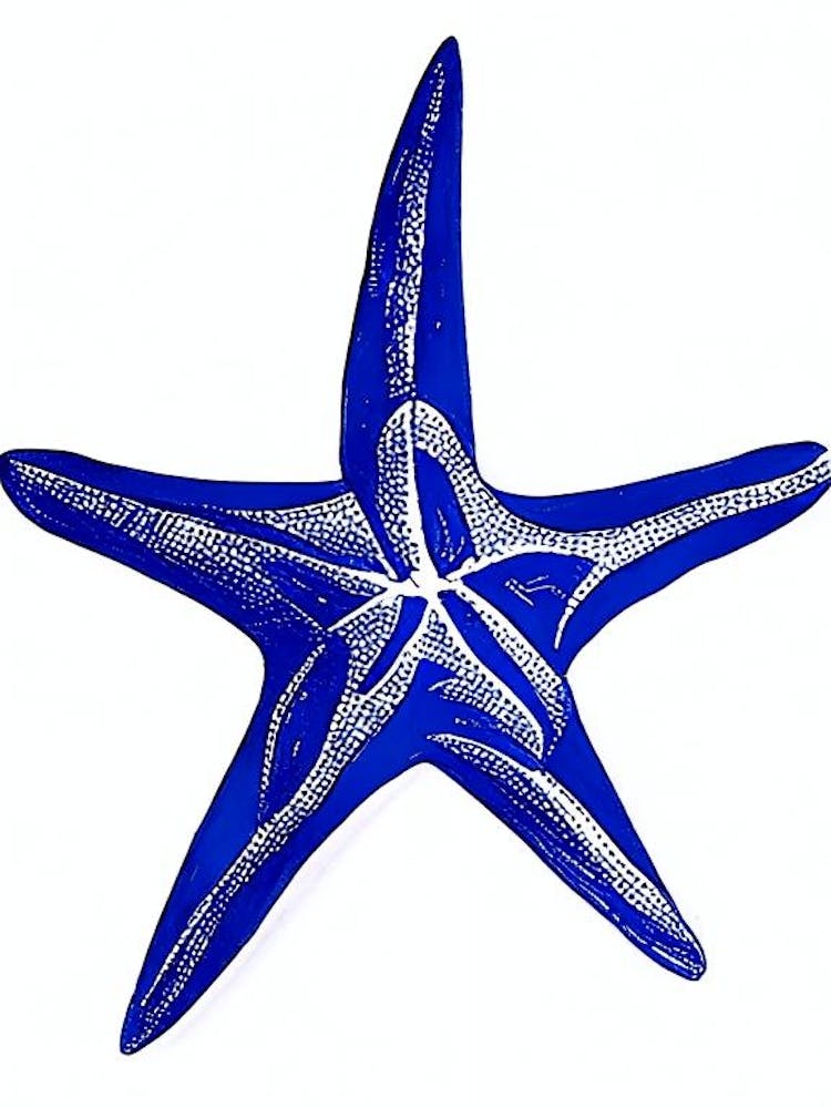 Starfish Symbol Blue And White Line Drawing