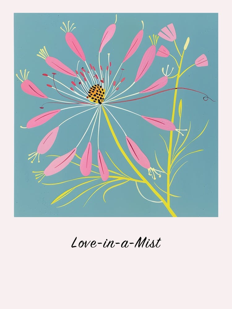 Love In A Mist 2 Square Flower Illustration Poster
