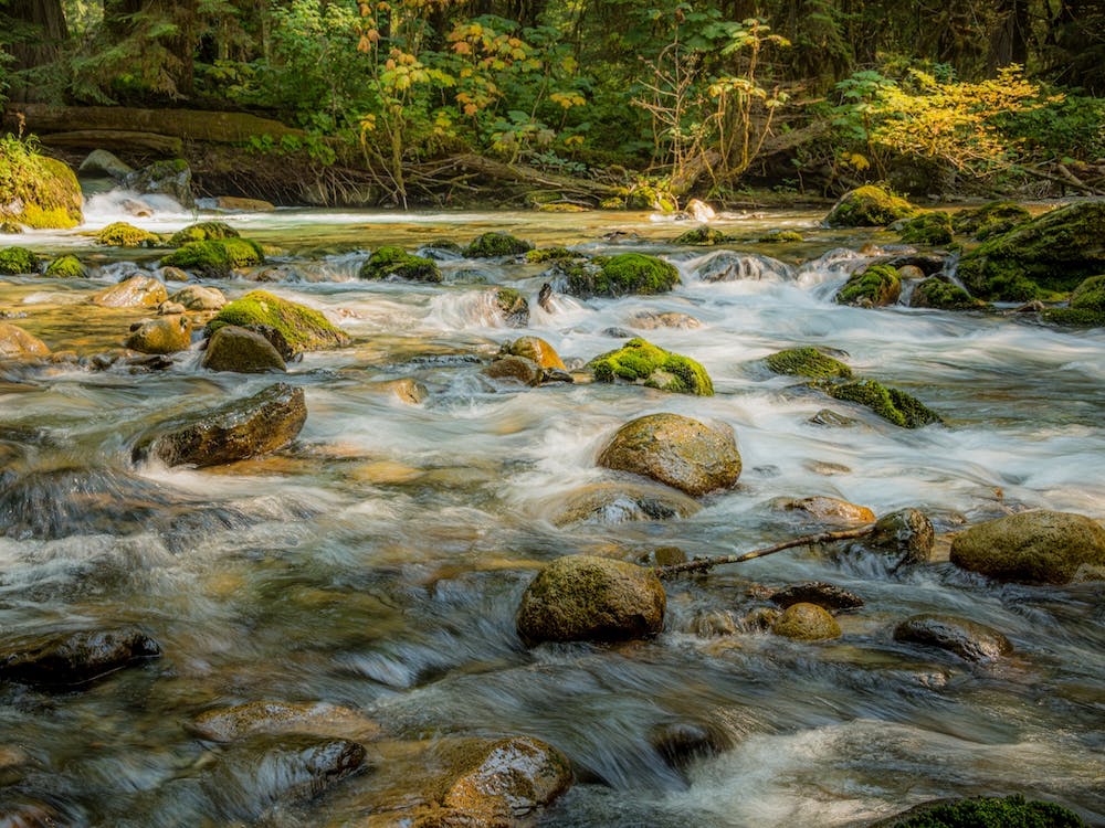 Wasser fließt um Felsen herum