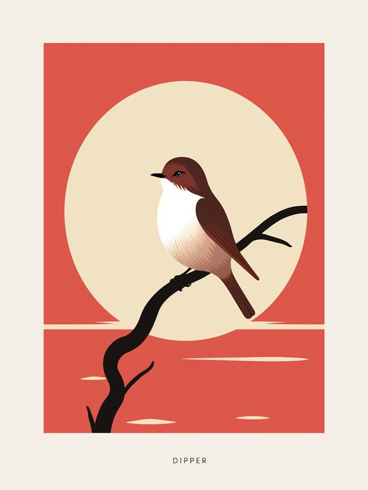 Minimalist Dipper 3 Bird Poster