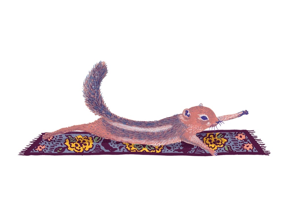 Squirrel Stretch