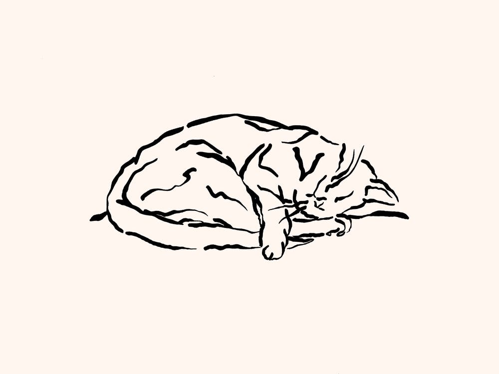 Sleeping Cat Line Art