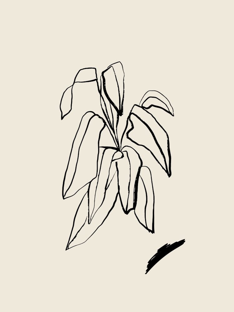 Beige Plant
