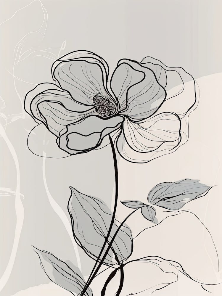 Line Art Orchideen Blumen Illustration Neutral 10