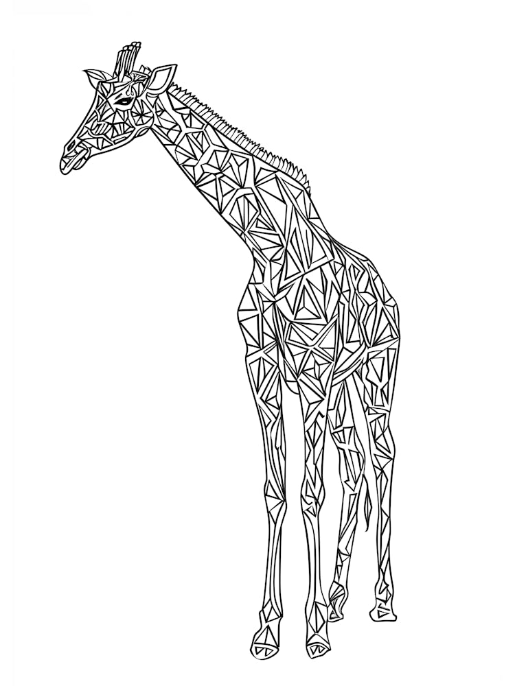 Geometric Giraffe animal lines art