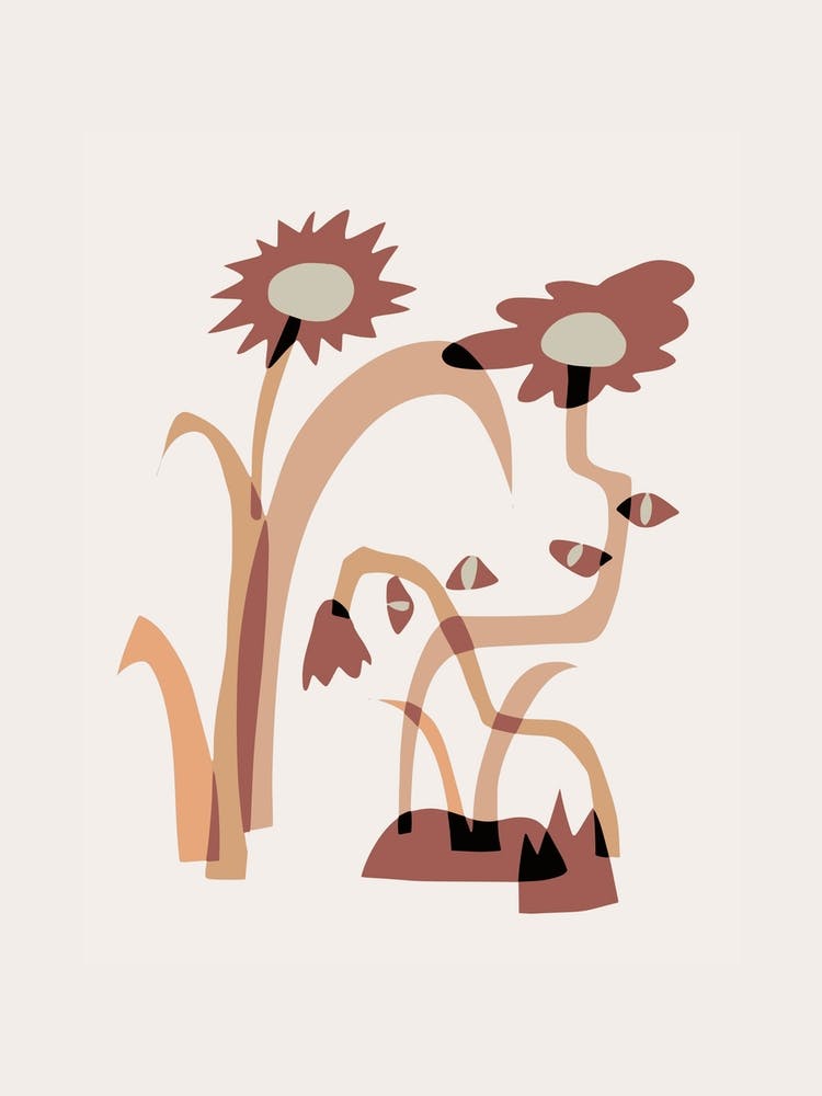 Wild Flower Garden