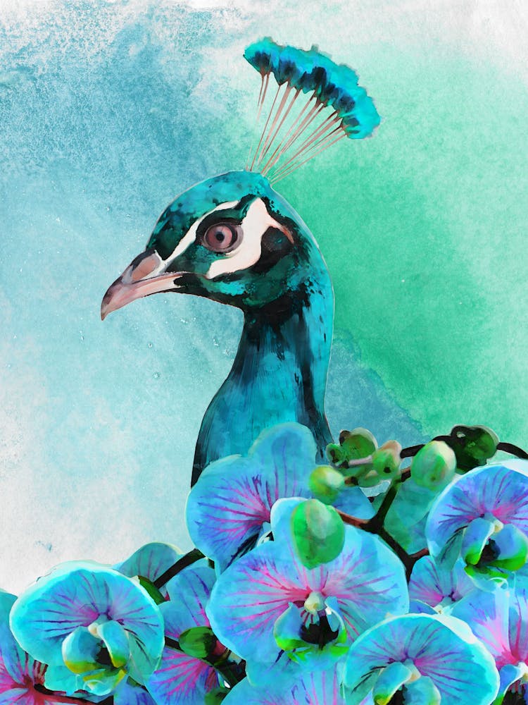 Peacock With Orchids 1