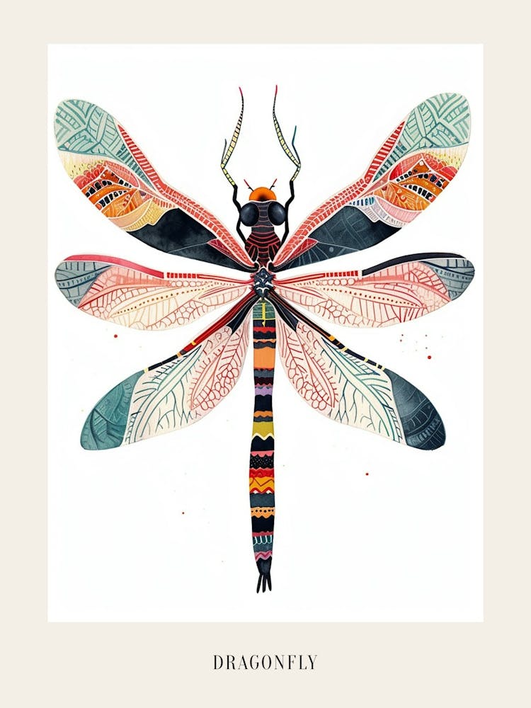 Colourful Insect Illustration Dragonfly 14 Poster