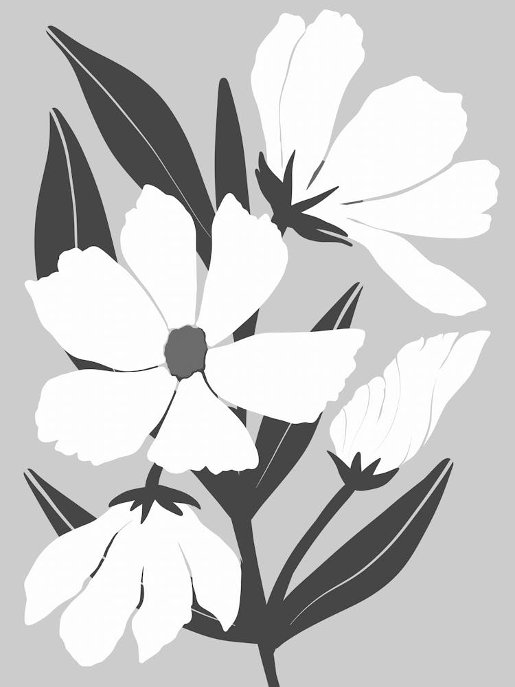 Black And White Flowers 91