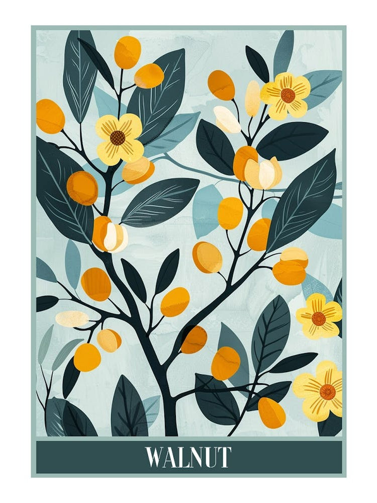 Walnut Tree Flat Illustration 4 Poster