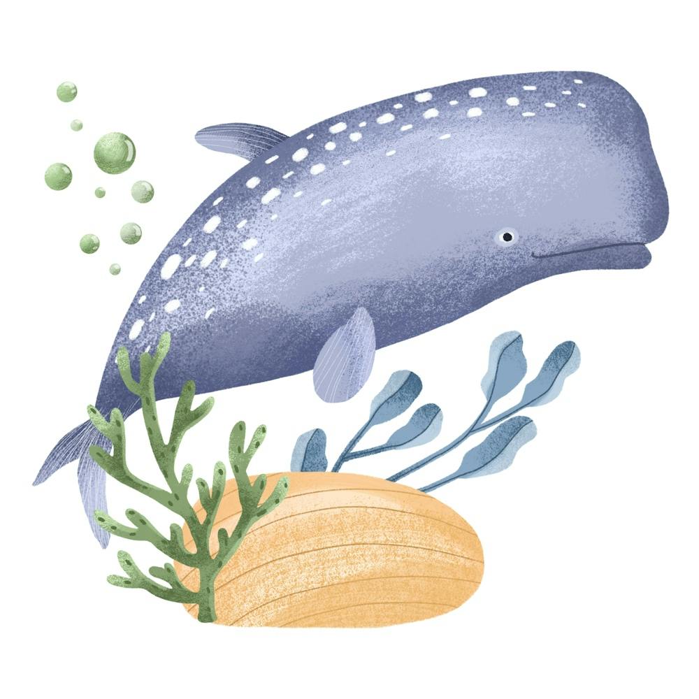 Ocean whale fairy ocean land