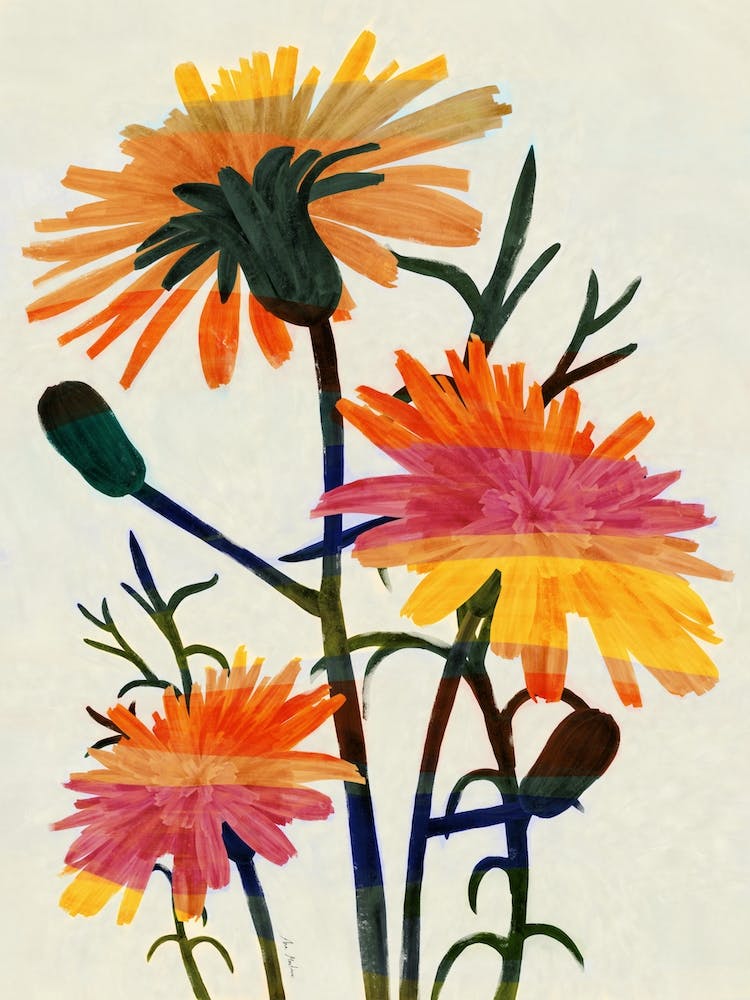 Wildflowers