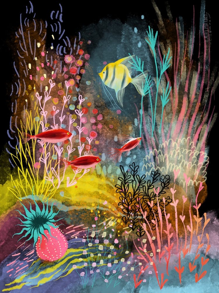 Underwater Colorful Fish Anemones