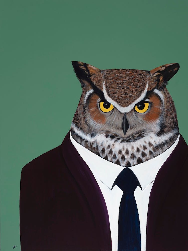 Owl In Suit