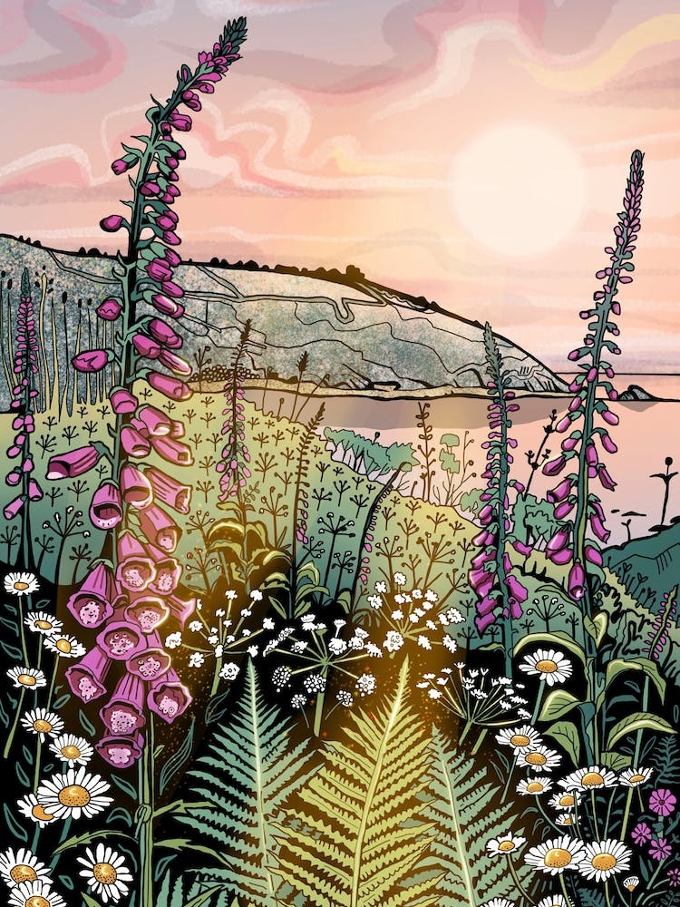 Summer Wildflowers Coastal