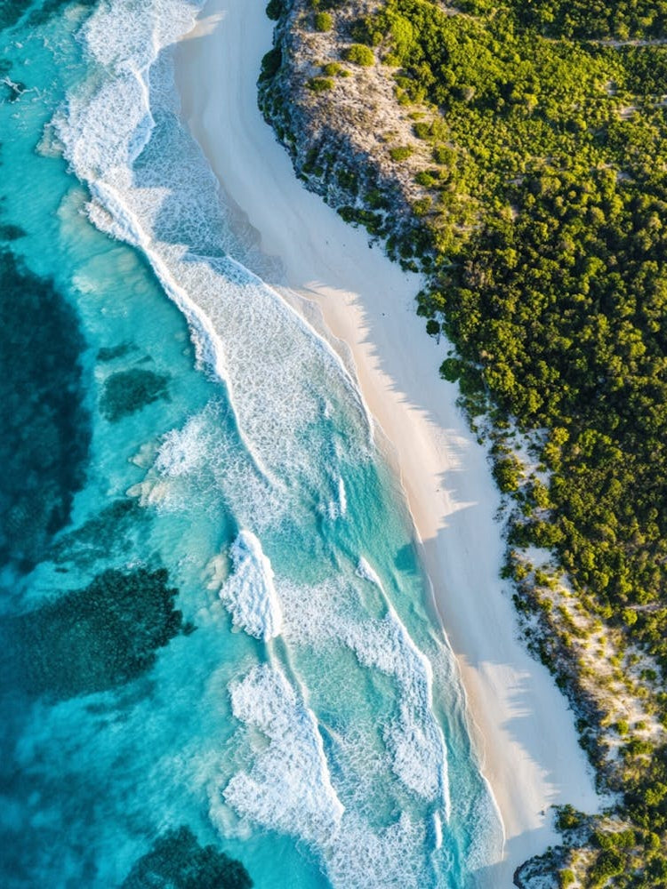 Aerial View Of A Tropical Beach 8
