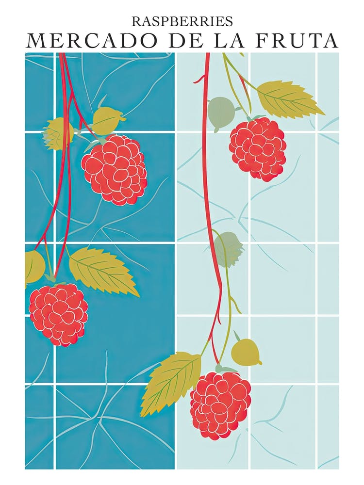 Mercado De La Fruta Raspberries Illustration 6 Poster