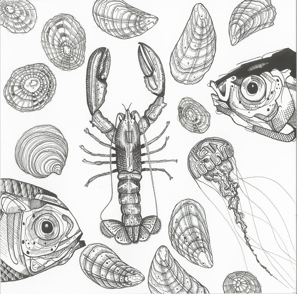 Fine liner sealife illustration