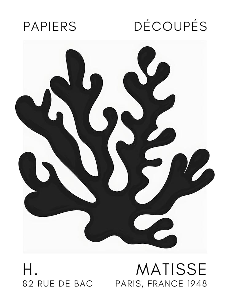 H Matisse 35