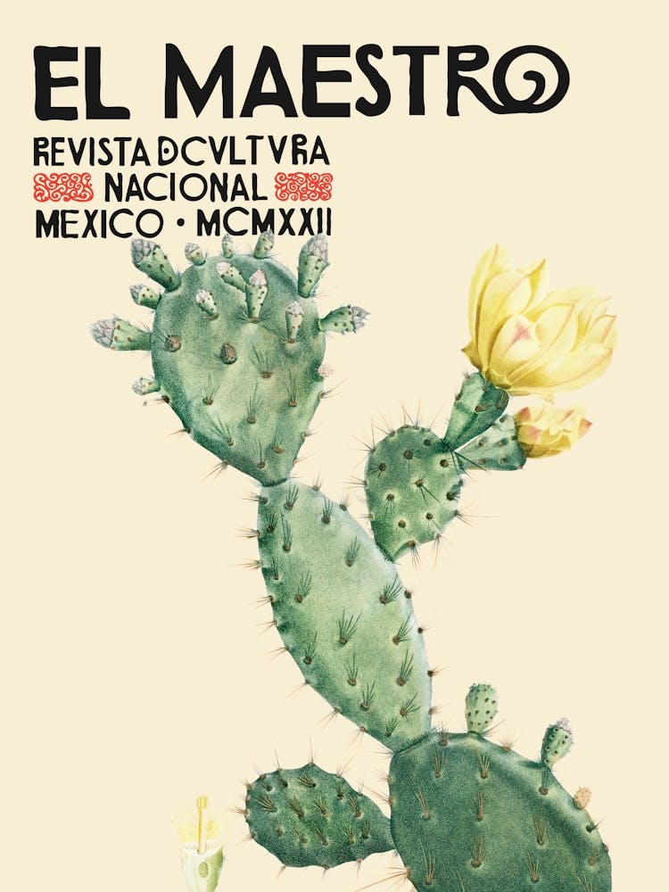 Mexican El Maestro Prickle Pear Cacuts Flower 2