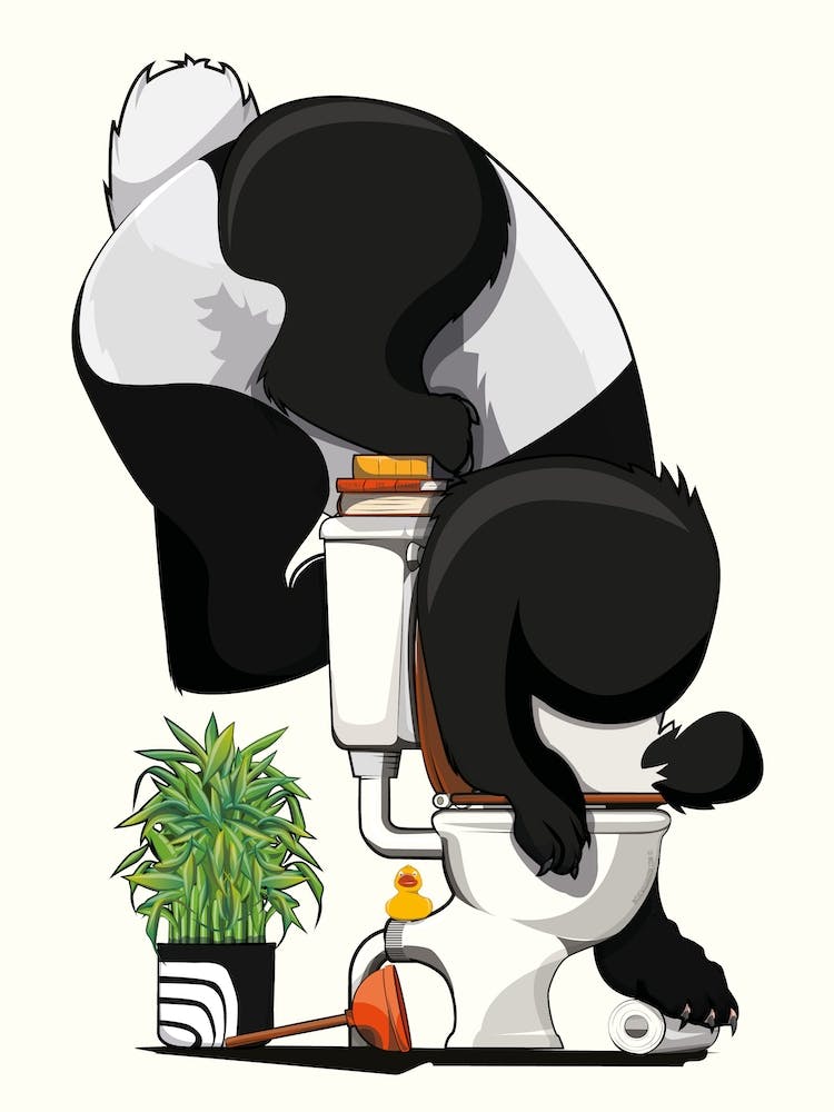 Panda Ibear Drinking From Toilet