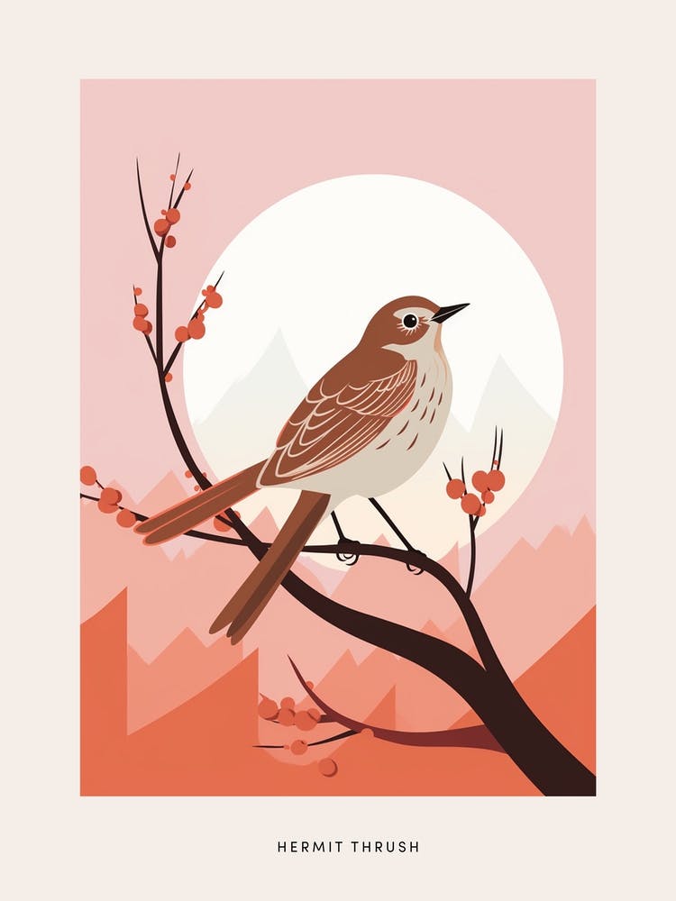 Minimalist Hermit Thrush 2 Bird Poster