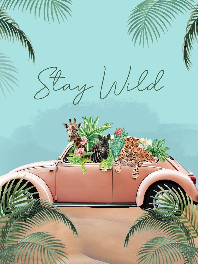 Stay Wild