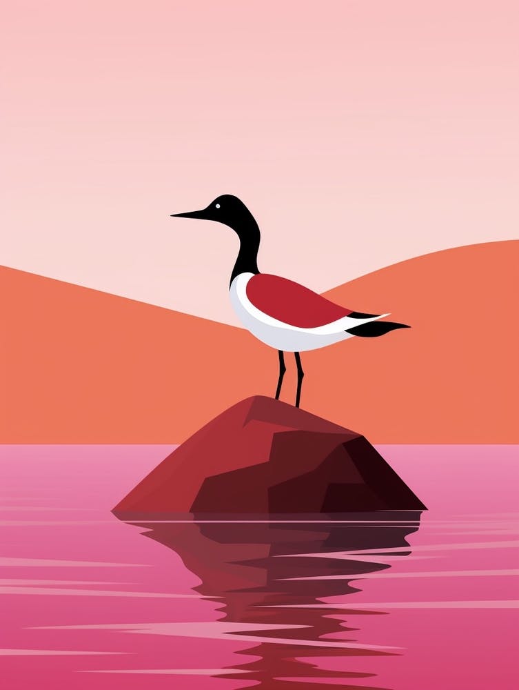 Minimalist Canvasback 2 Illustration