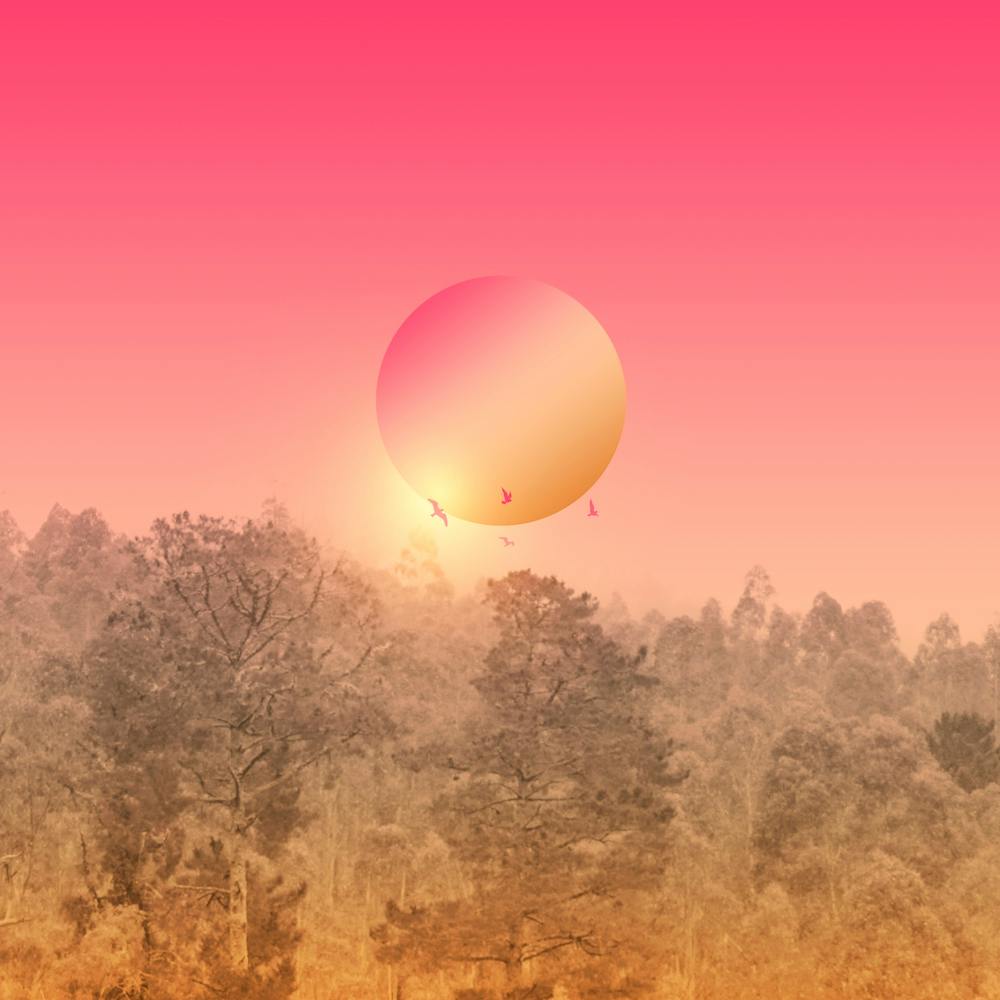 Big Sun In The Woods Square