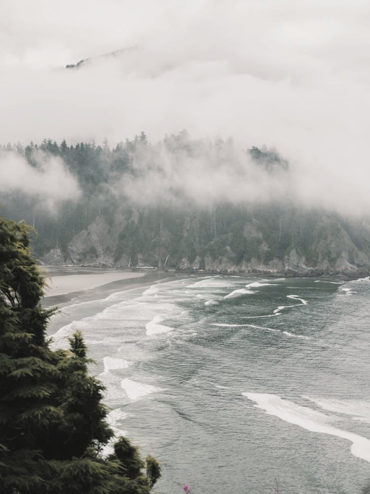 Oregon Coast