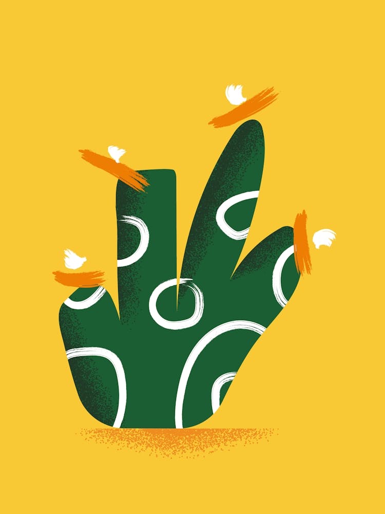 Cactus n1
