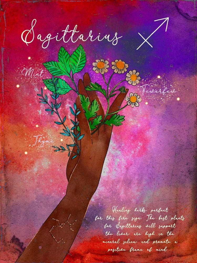 Sagittarius Healing Herbs