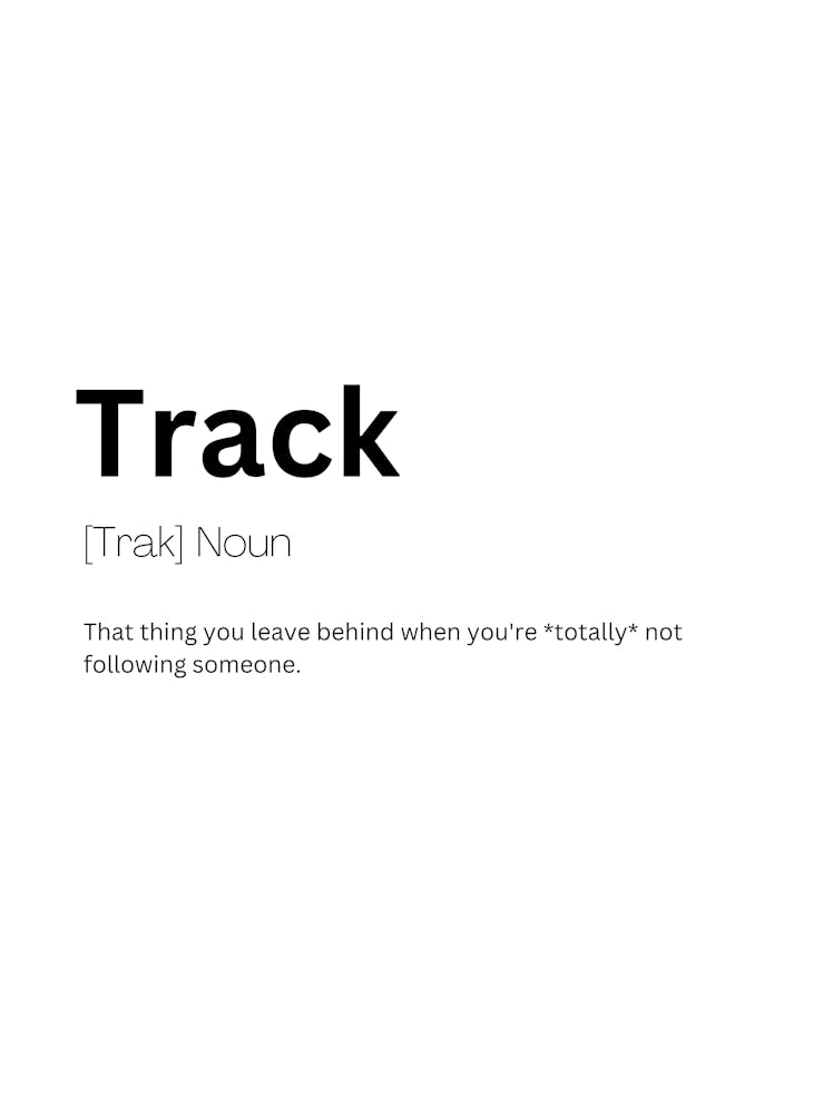 Track Definition Meaning