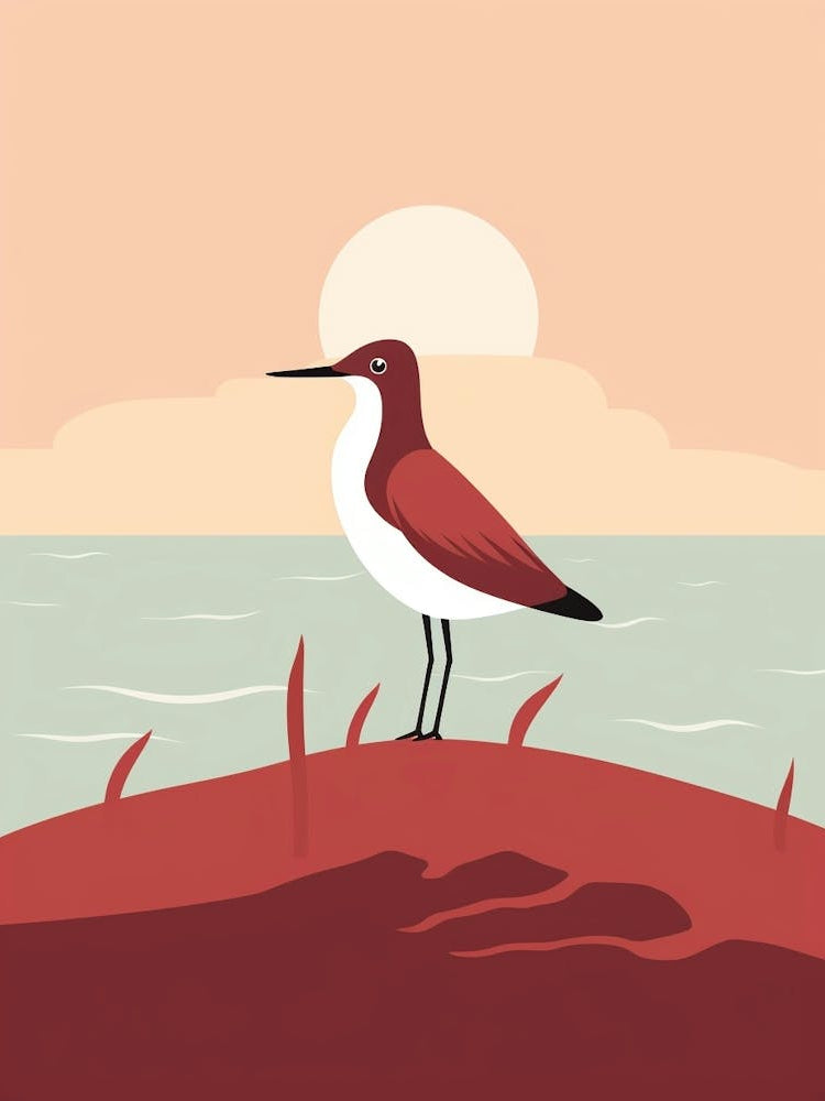 Minimalist Dunlin 1 Illustration