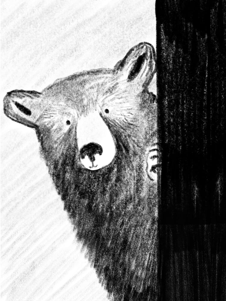 Bear 2