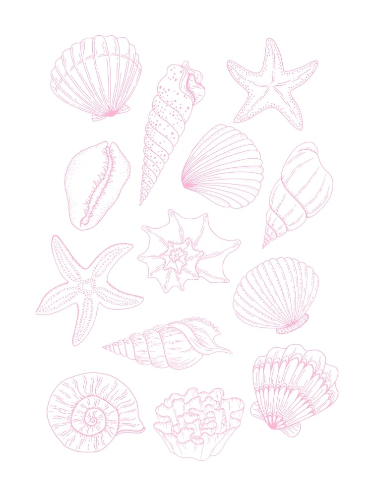 Pink Seashells 1
