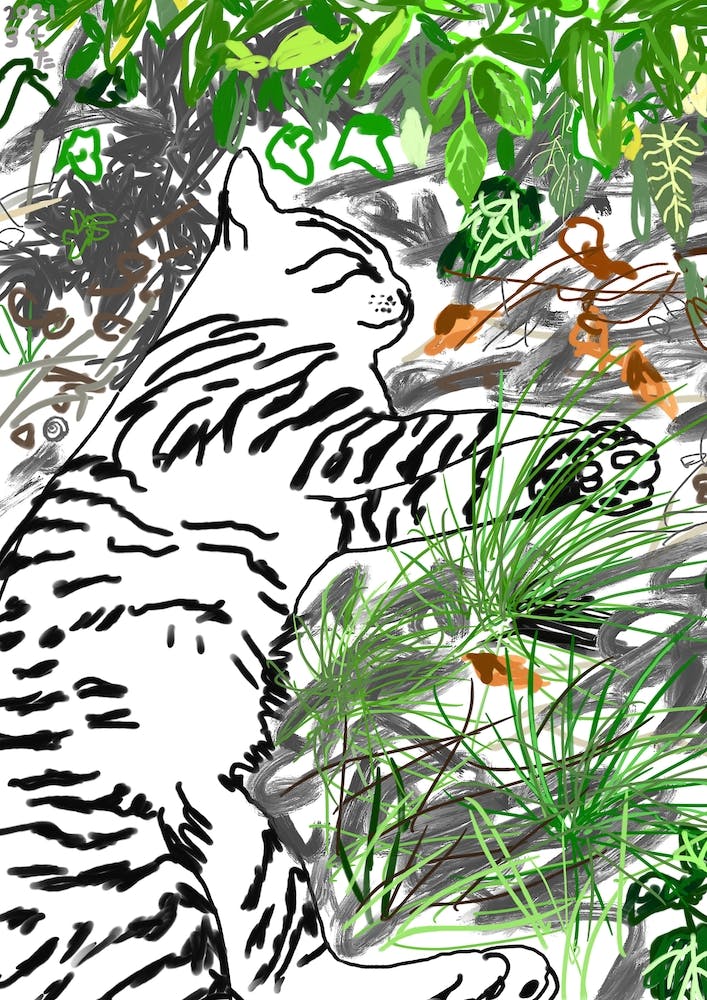 Nap In The Shade