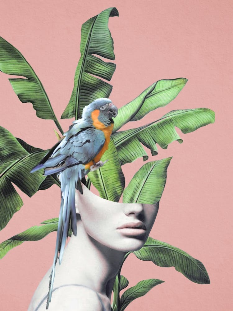 Tropical Girl 2