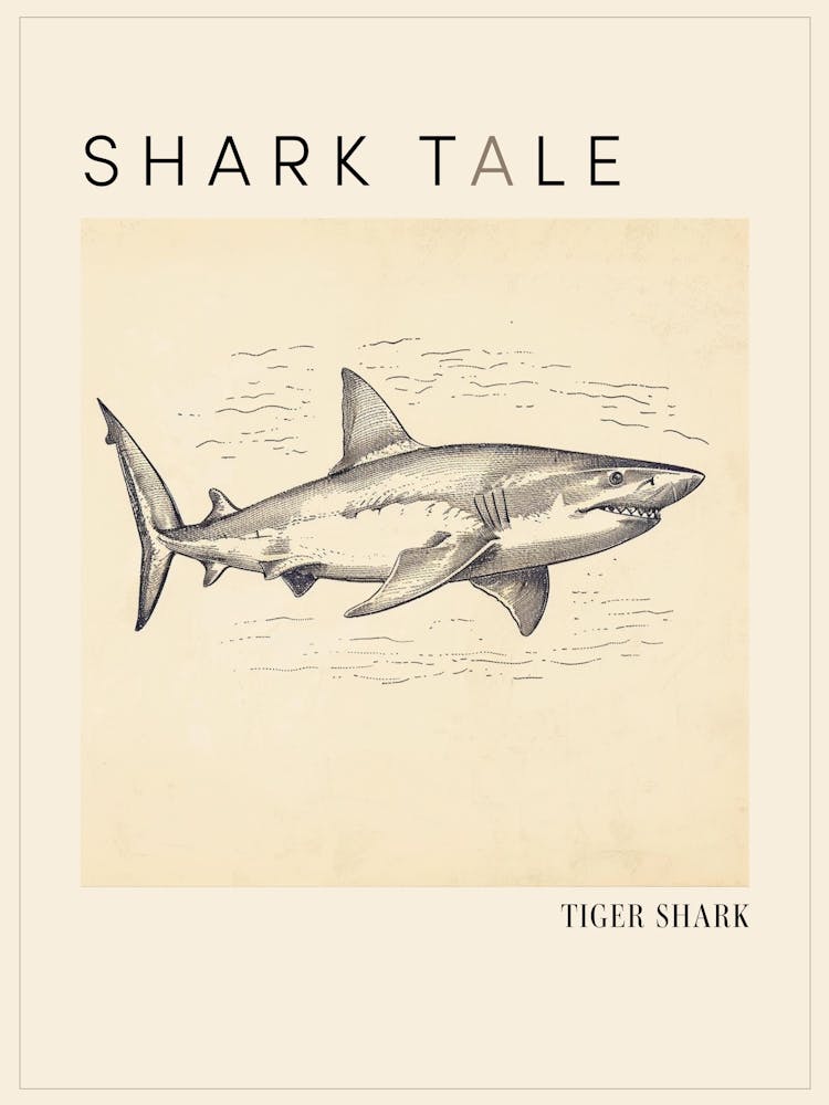 Tiger Shark Vintage Illustration 3 Poster