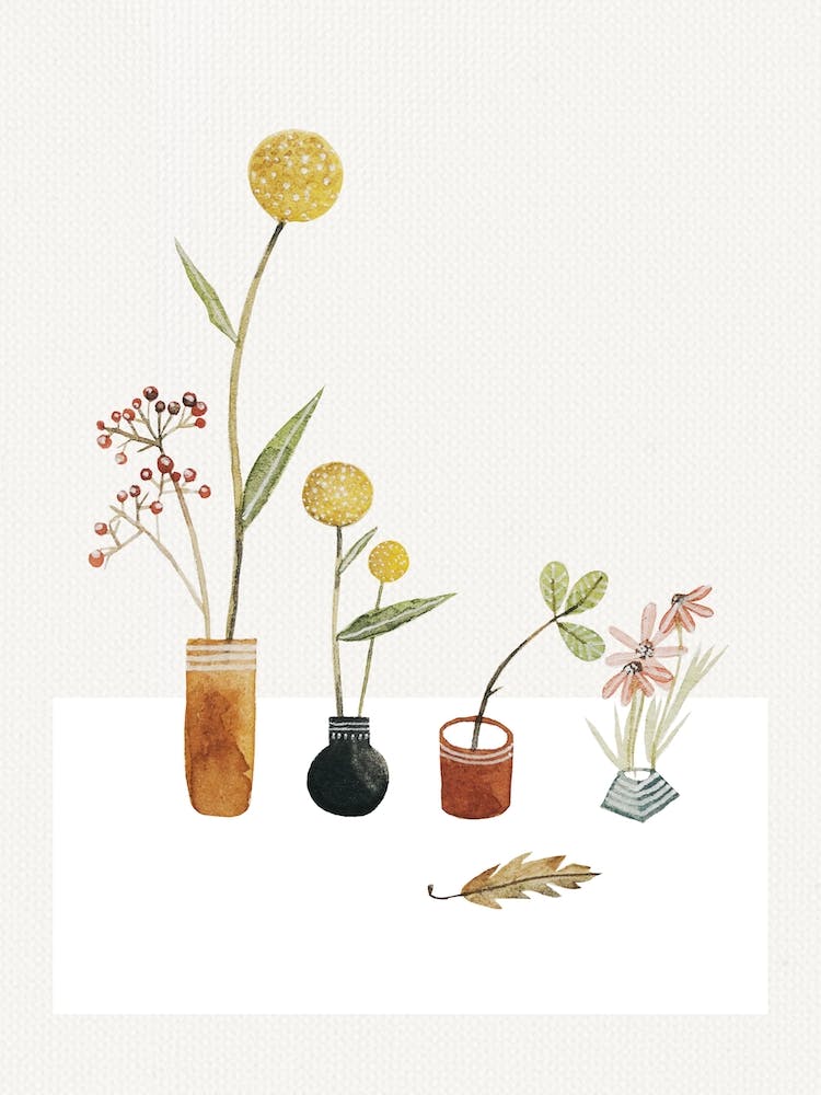 Wildflowers