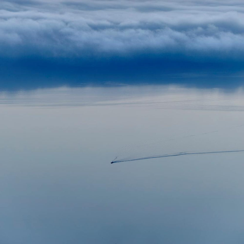 Escaping From The Fog Square