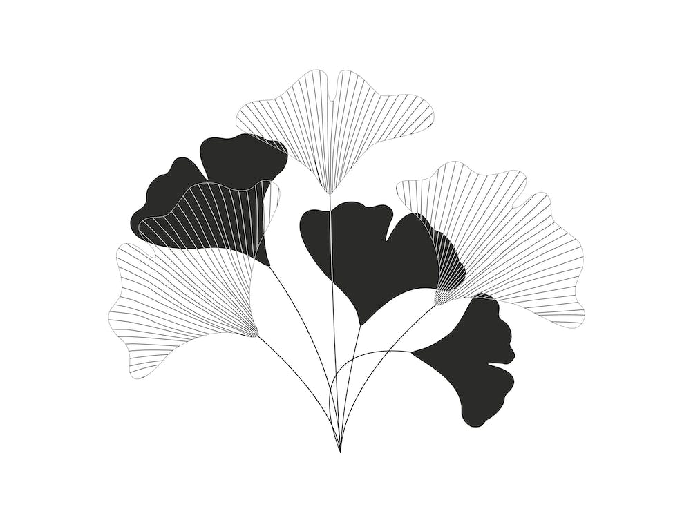 Simple Drawing Flowers