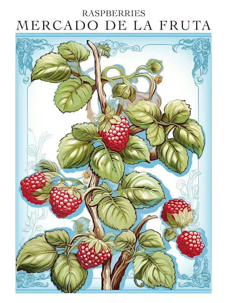 Mercado De La Fruta Raspberries Illustration 1 Poster