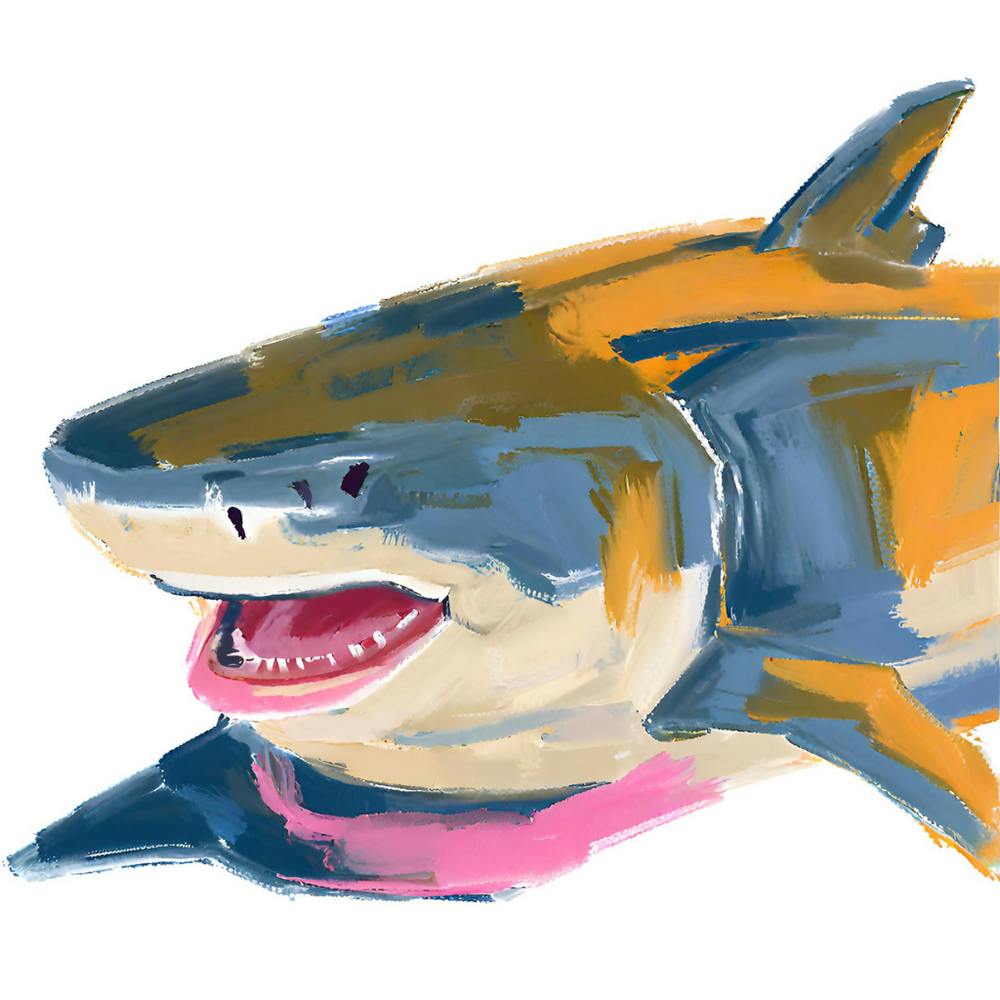 Tiger Shark 01