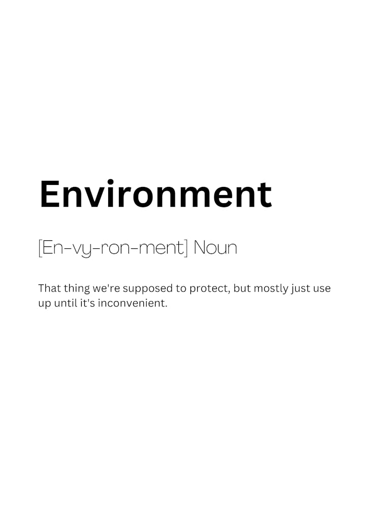 Environment Definition Meaning 1