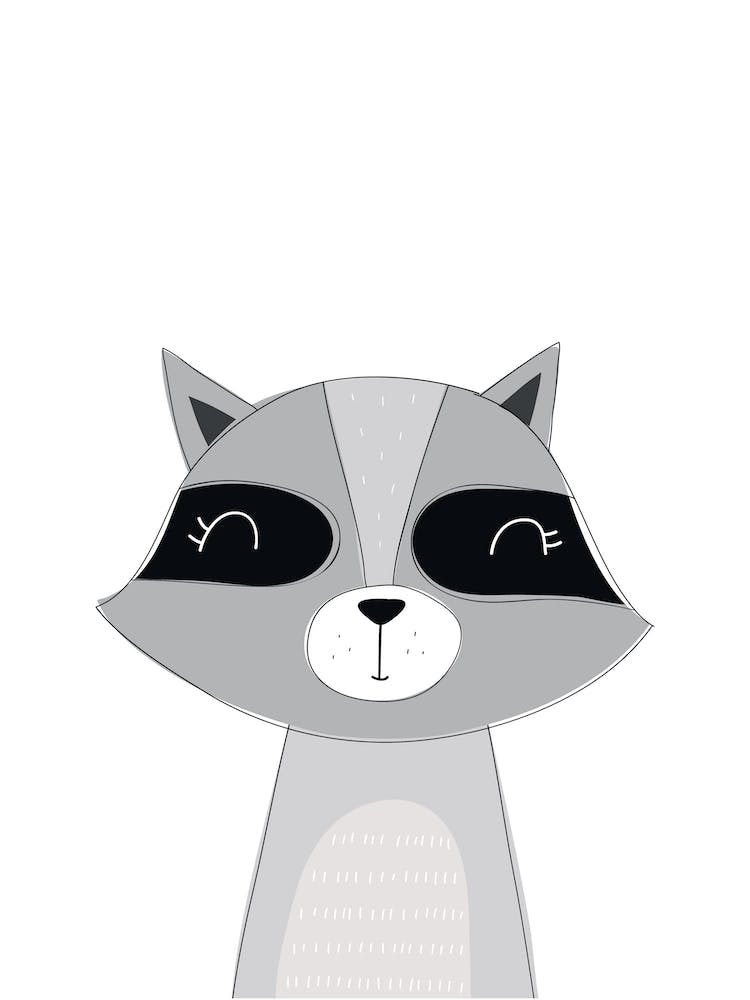 Scandi Cute Raccoon