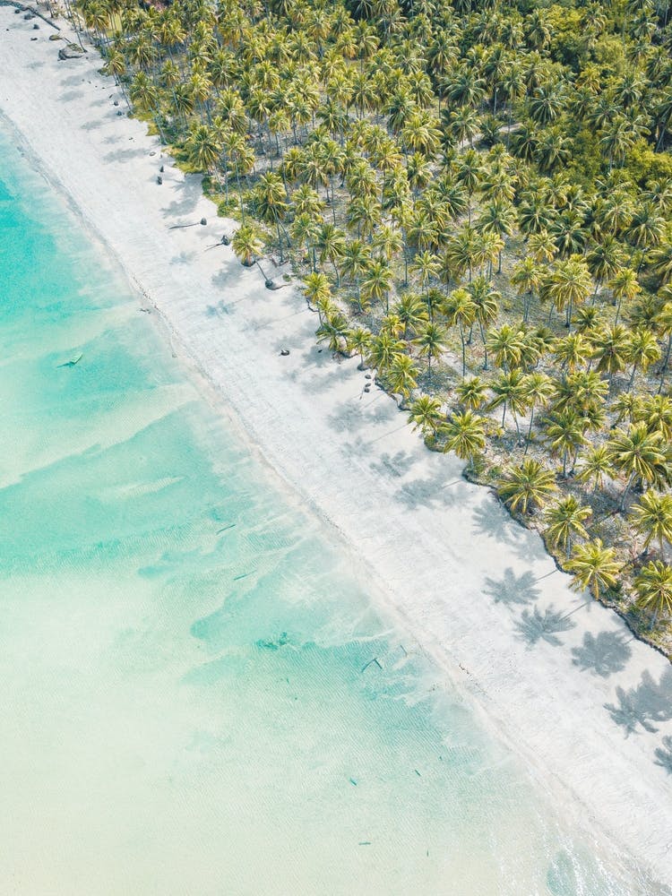 Hawaii Beach - Teal Clear Water - Ocean Palms