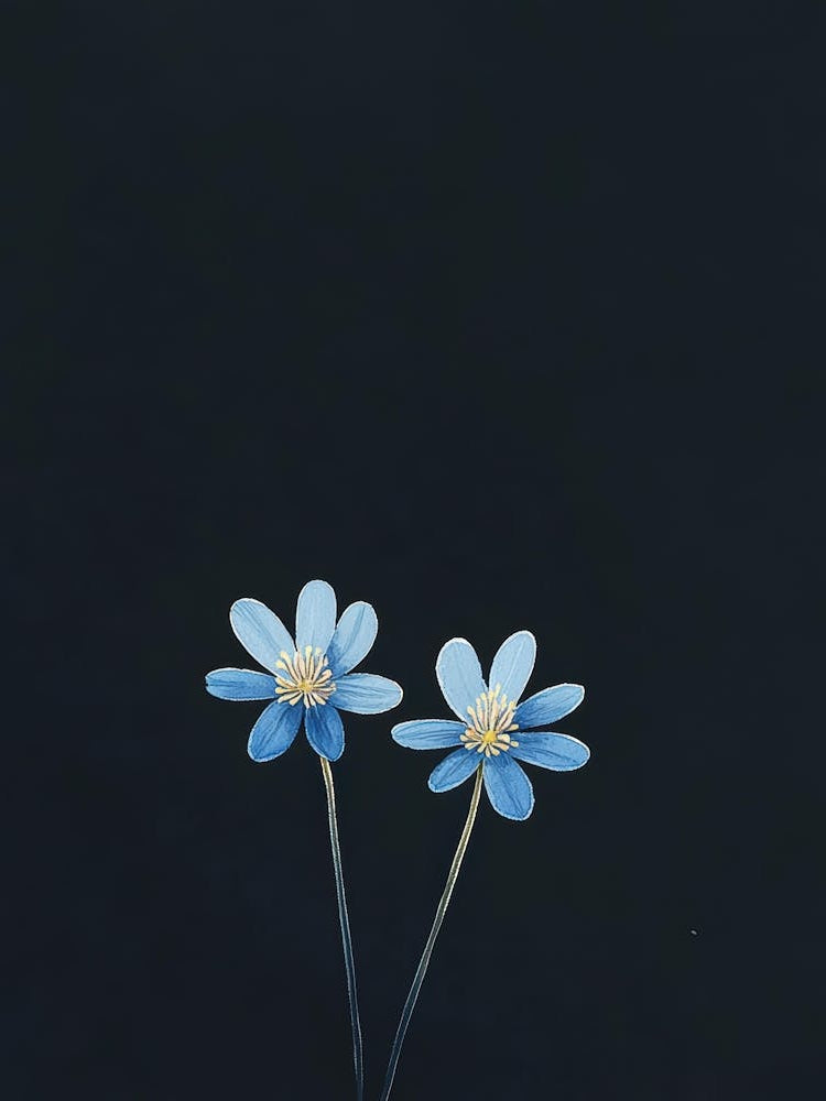 Two Blue Flowers On A Black Background